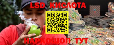 PSILOCYBIN Кингисепп