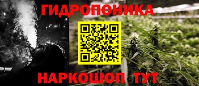 PSILOCYBIN Кингисепп