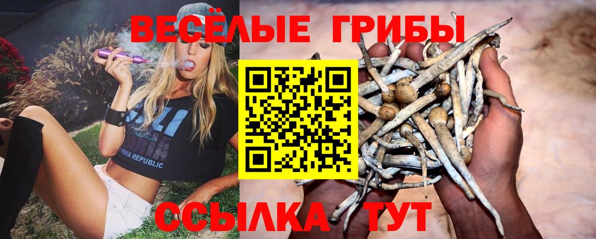 Галлюциногенные грибы Psilocybine cubensis  Вход с VPN  купить  сайты  Псилоцибиновые грибы ЛСД  Кудымкар 